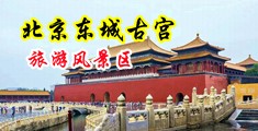 女生的鸡鸡免费看中国北京-东城古宫旅游风景区